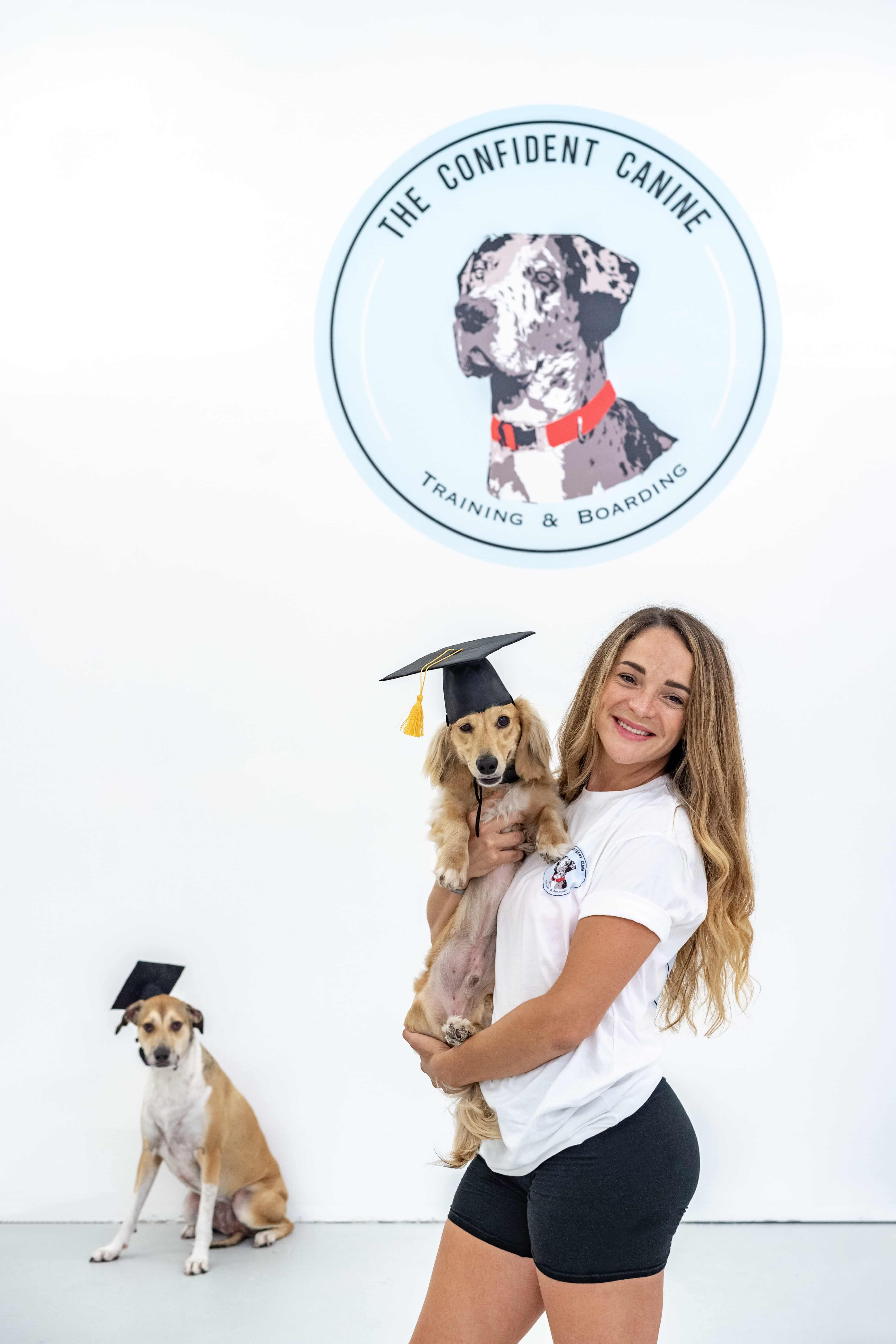 The Confident Canine Dog Training & Boarding West Palm Beach